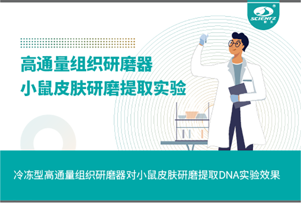 冷凍型高通量組織研磨器對(duì)小鼠皮膚研磨提取DNA實(shí)驗(yàn)效果