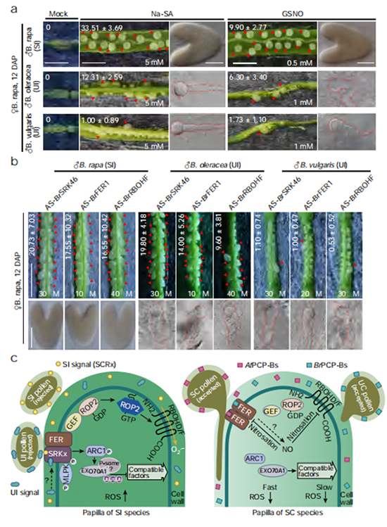 實(shí)驗(yàn)數(shù)據(jù)